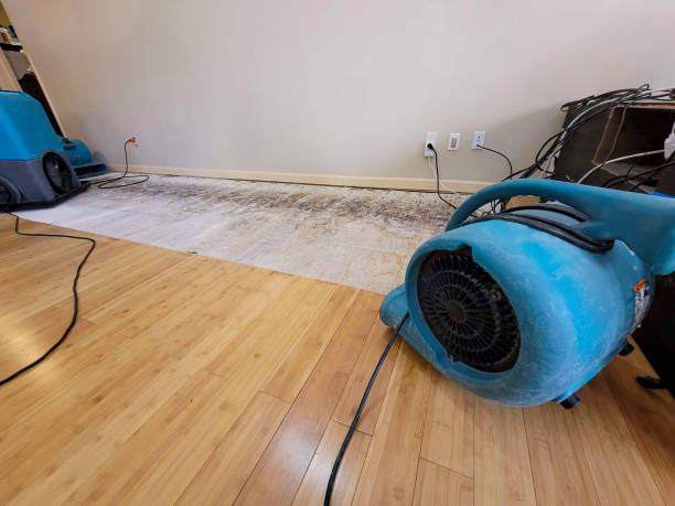 Professional Water Damage Repair technician working in Gruetli-Laager, TN